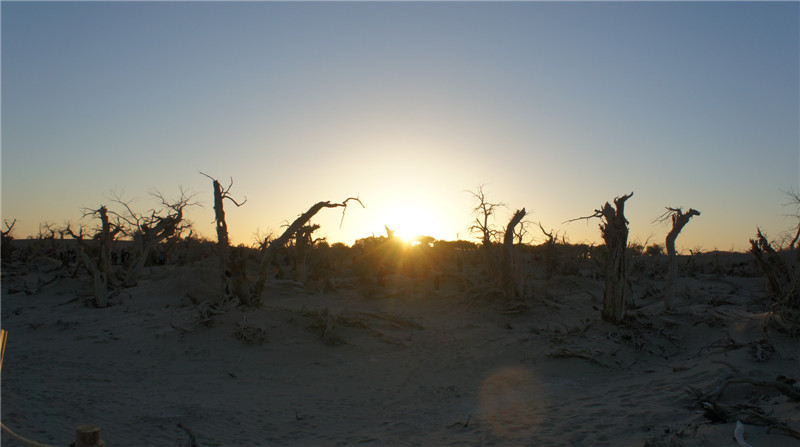 dsc03596_.jpg