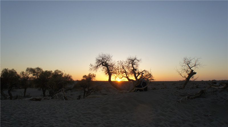 dsc03621_.jpg