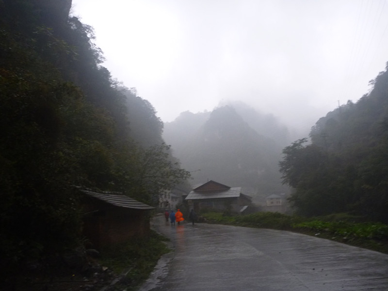 p1220608_.jpg