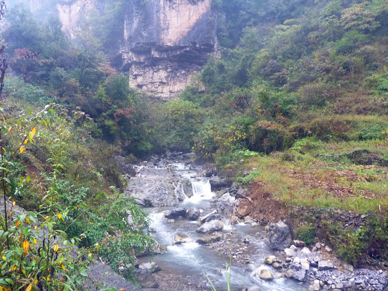 p1220615_.jpg