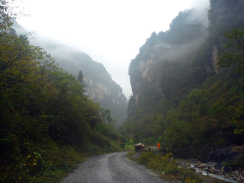 p1220618_.jpg
