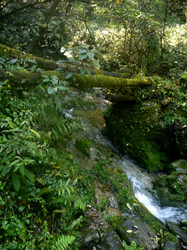 p1220692_副本.jpg