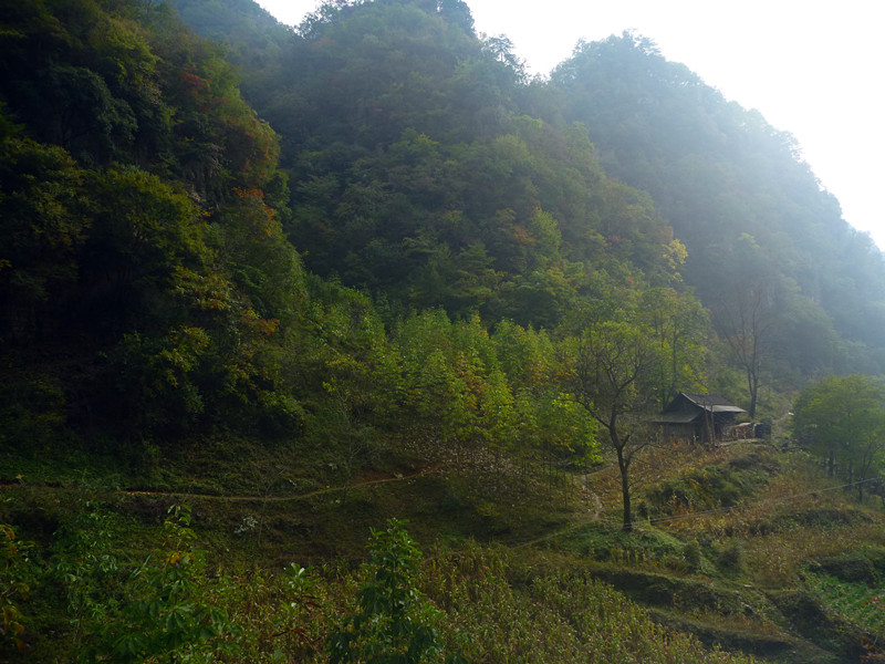 p1220707_副本.jpg