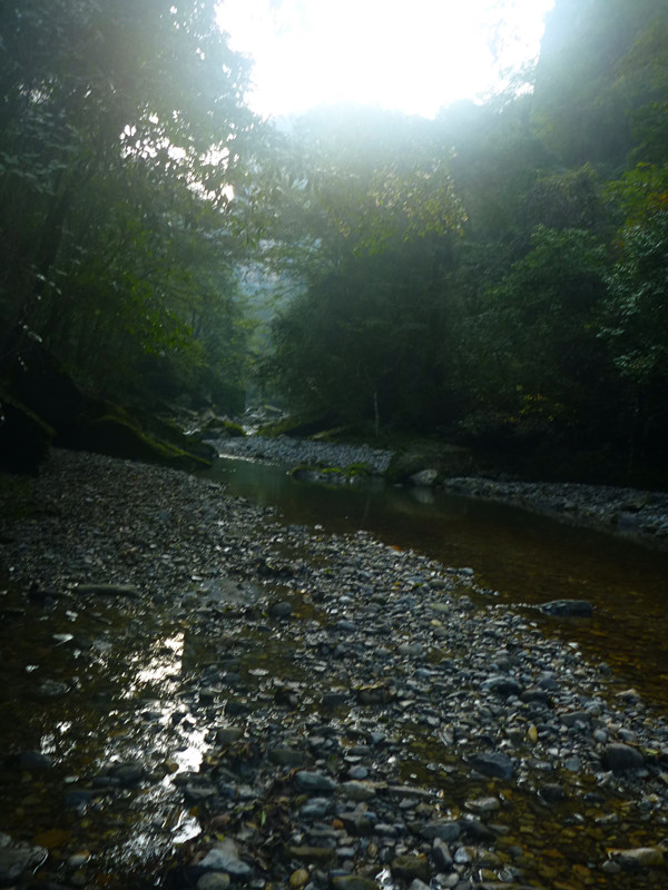 p1220762_.jpg