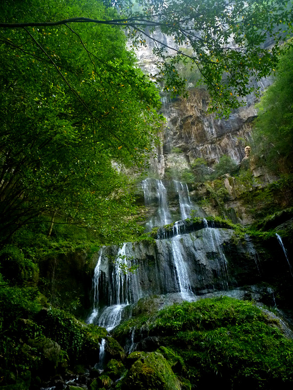 p1220761_.jpg
