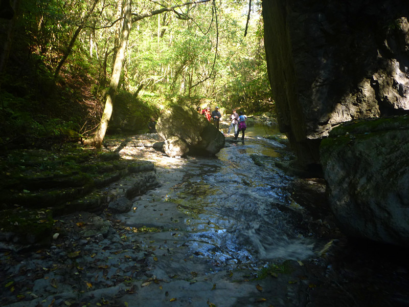 p1220801_.jpg