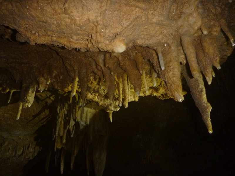 p1220804_.jpg
