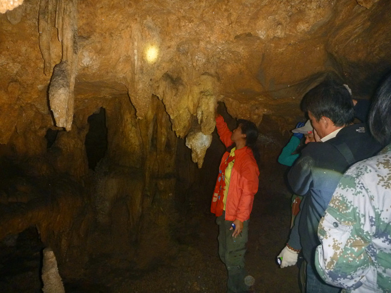 p1220810_.jpg