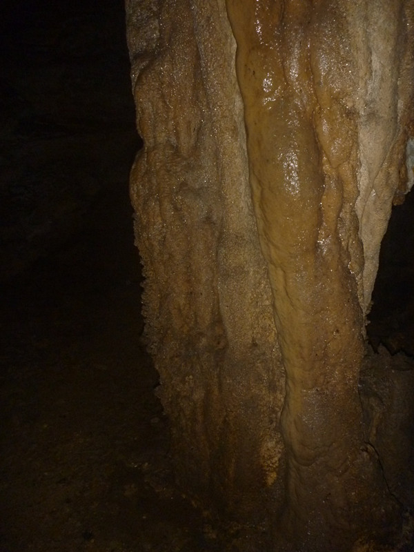p1220813_.jpg