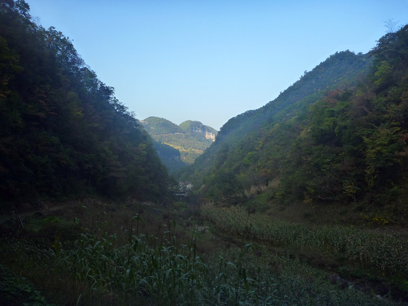 p1220821_.jpg