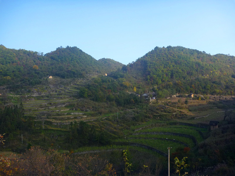 p1220825_.jpg