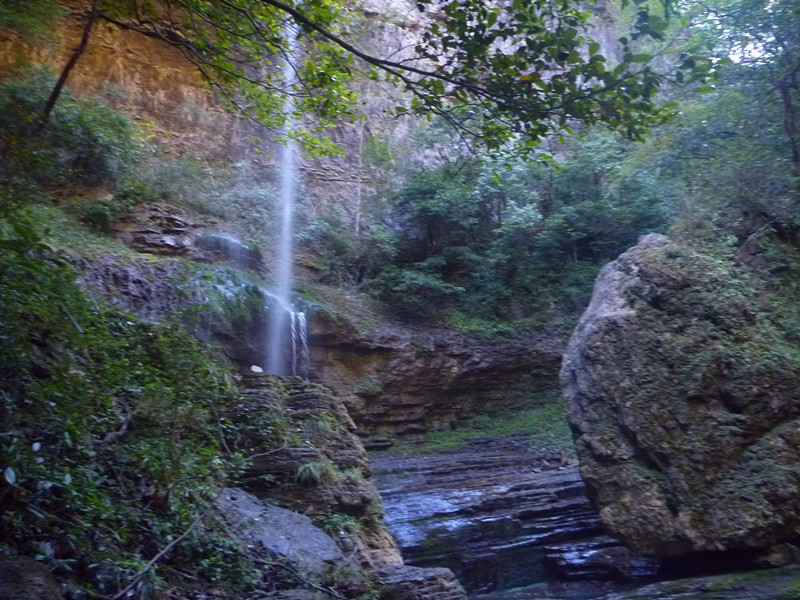 p1220790_.jpg