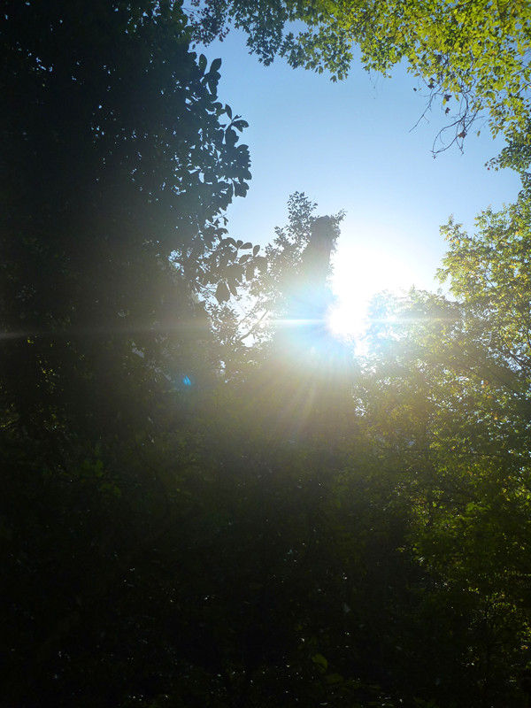 p1220797_.jpg