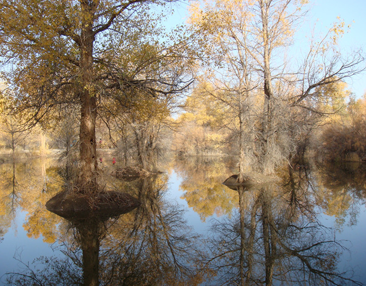dsc08361_.jpg
