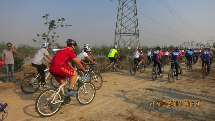 125410cd88c3zgz303ddmv.jpg.thumb.jpg
