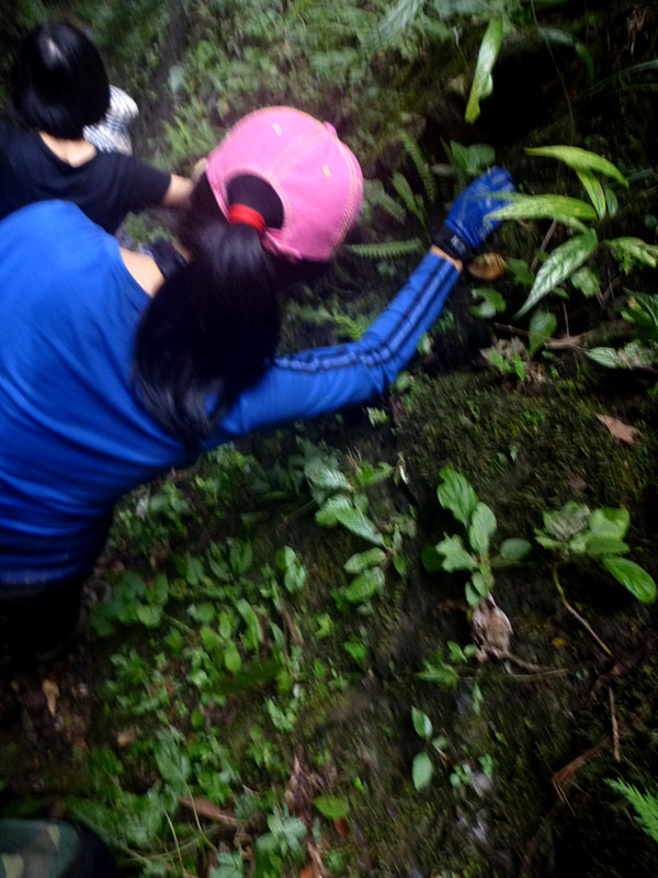 p1220886_副本.jpg