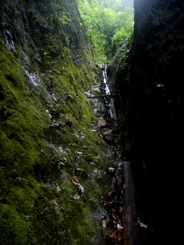 p1220889_副本.jpg