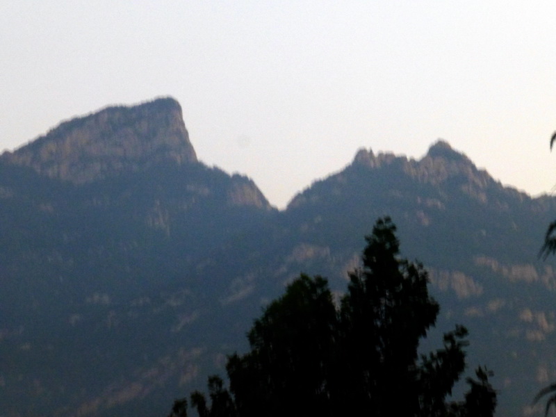 p1260676.jpg