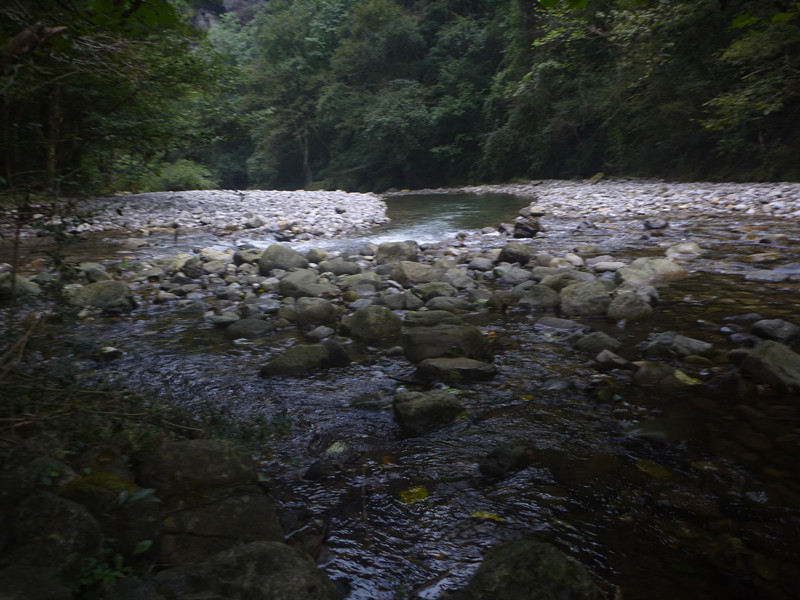 p1220904_副本.jpg