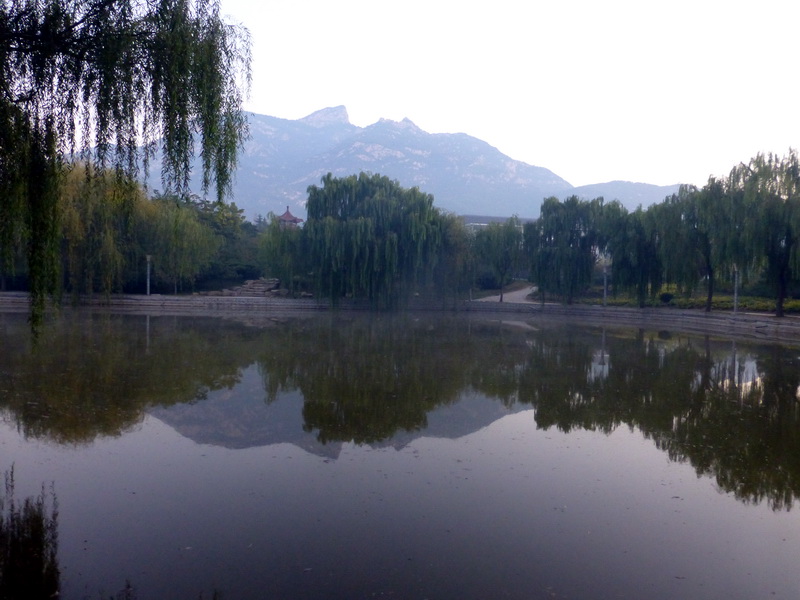 p1260679.jpg