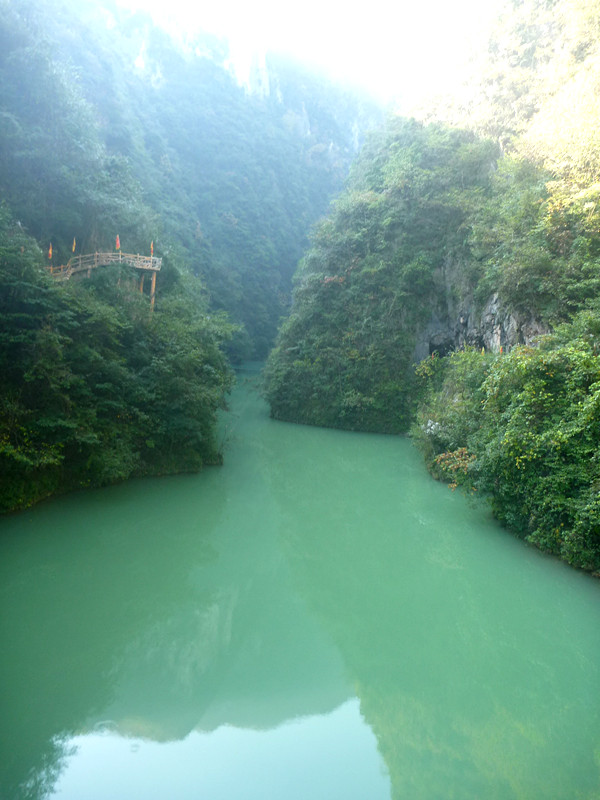 p1220999_.jpg