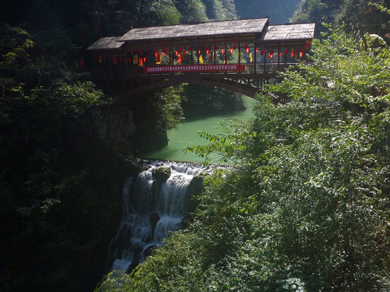 p1240047_.jpg