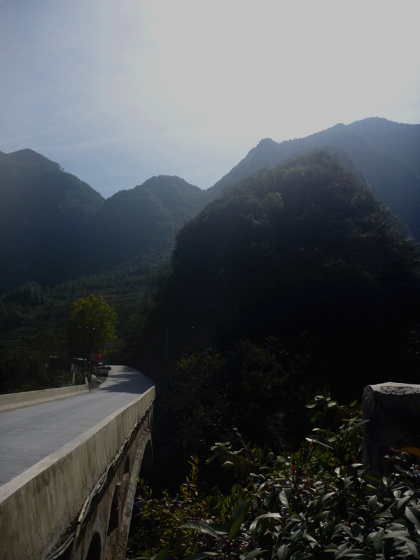 p1240049_.jpg