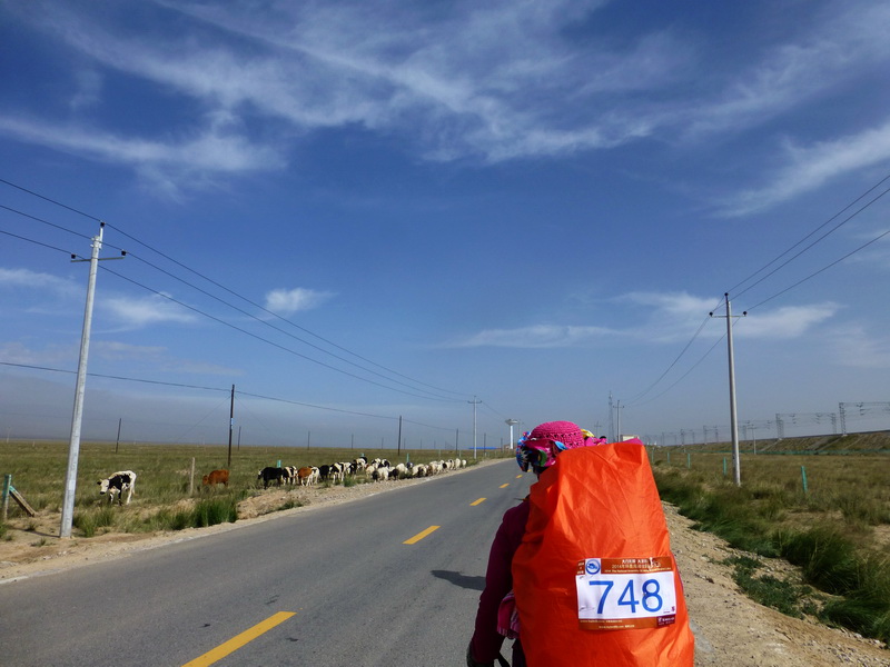 p1240334.jpg