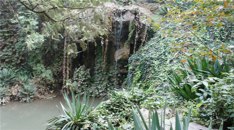 dsc05218_.jpg