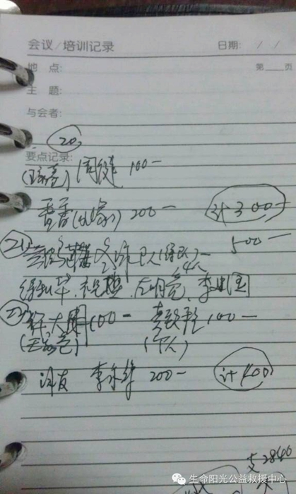 011.jpg