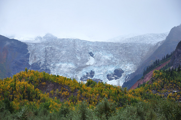 dsc_1371_1.jpg