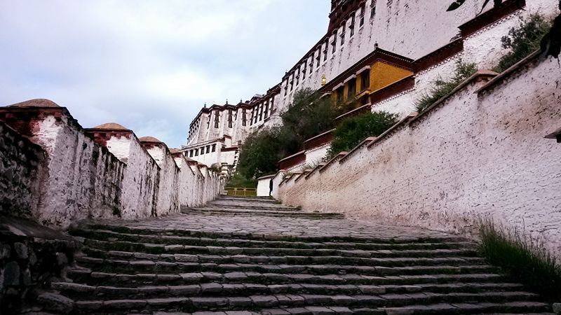 20140904_090525_.jpg