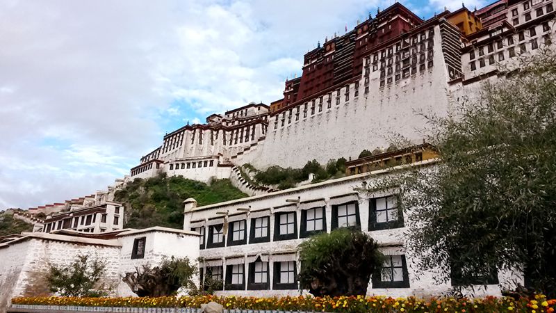 20140904_085011_.jpg