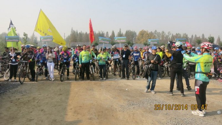 122812w2mgkr621hnk5048.jpg.thumb.jpg