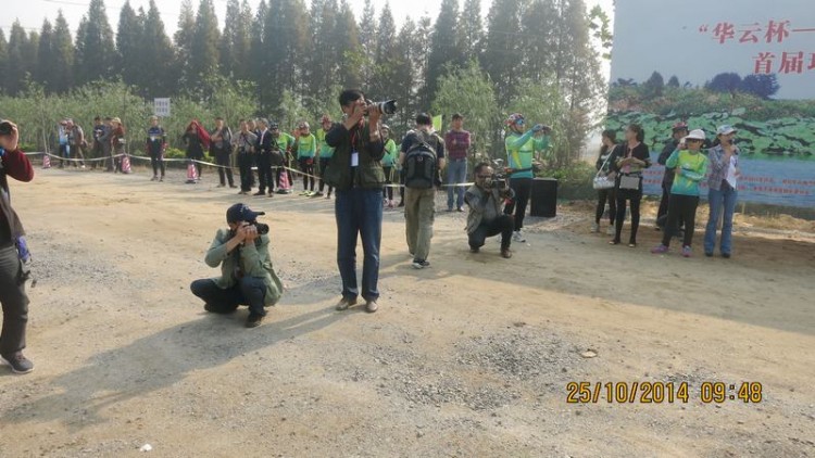 154515riji1t9r2gbo377u.jpg.thumb.jpg