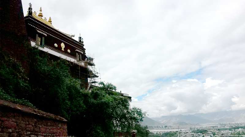 20140904_110803_.jpg