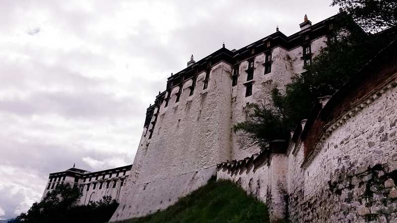 20140904_114255_.jpg