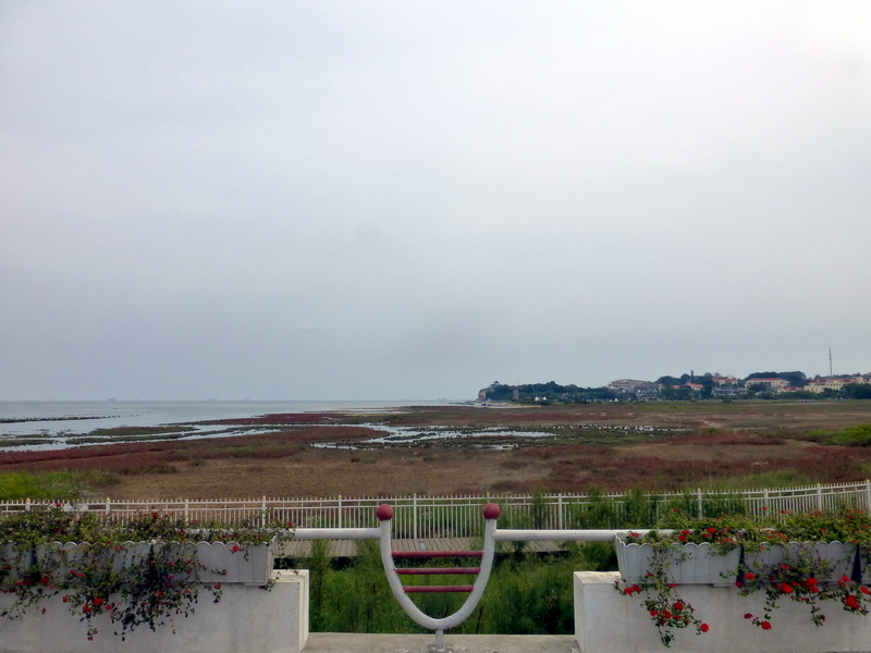 p1250943.jpg