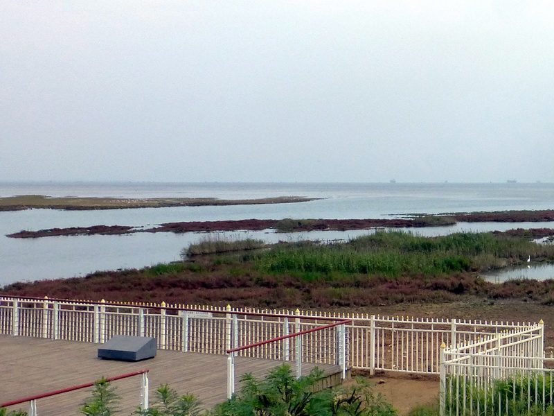p1250945.jpg