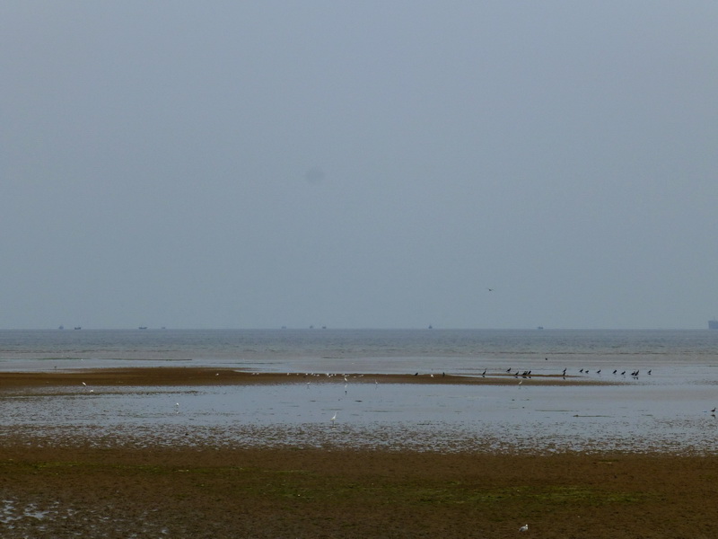 p1250953.jpg