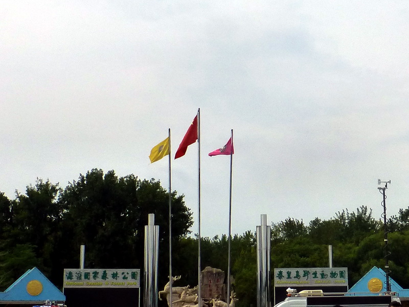 p1250957.jpg