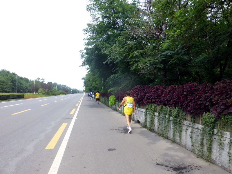 p1250960.jpg