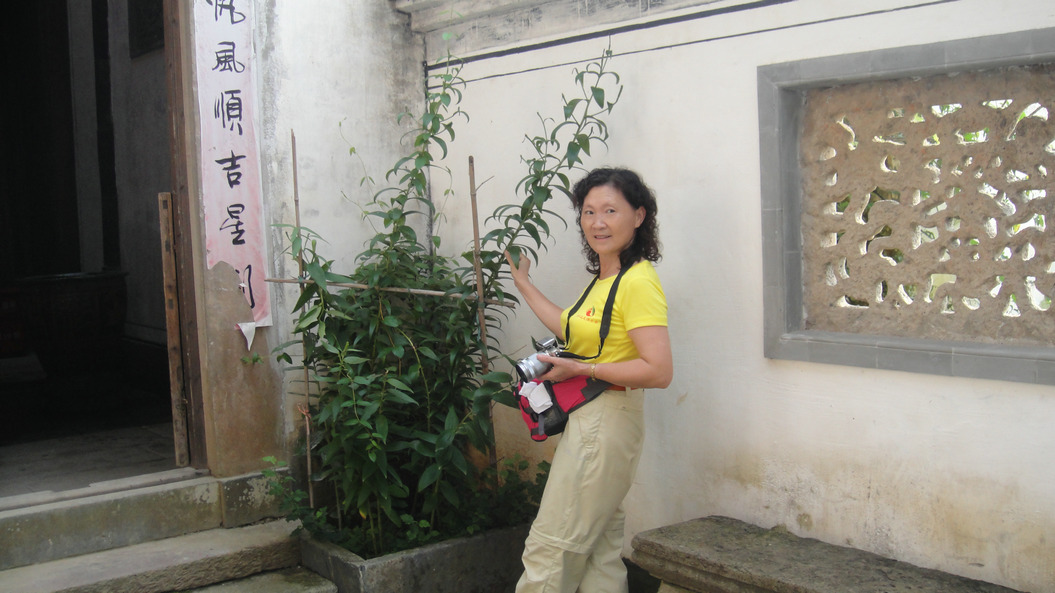 dsc03553.jpg