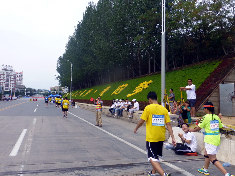p1250978.jpg