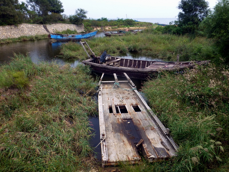 p1250970.jpg