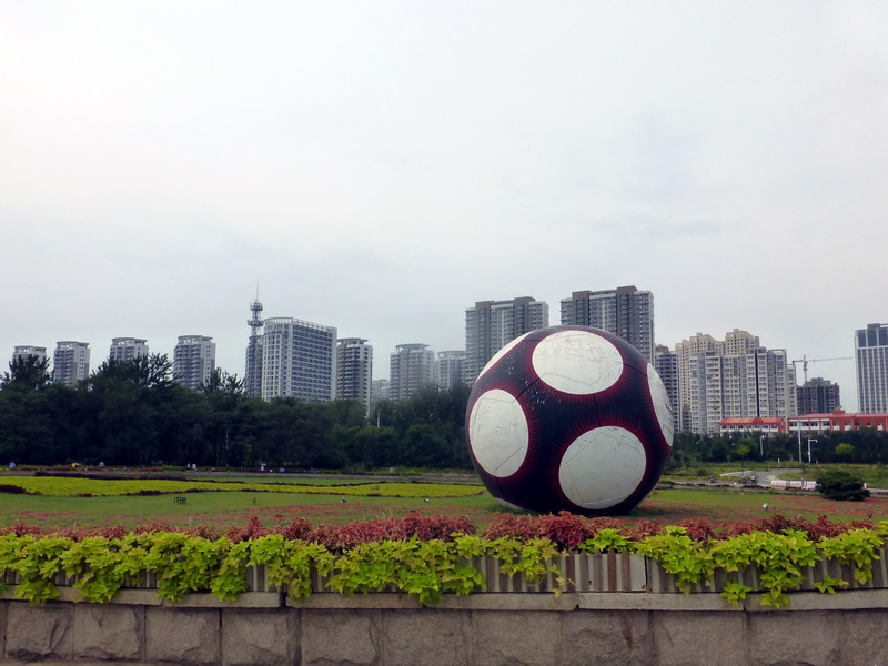 p1250975.jpg