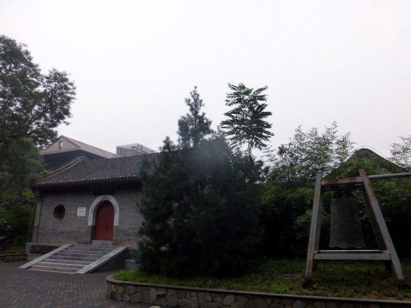 p1260008.jpg