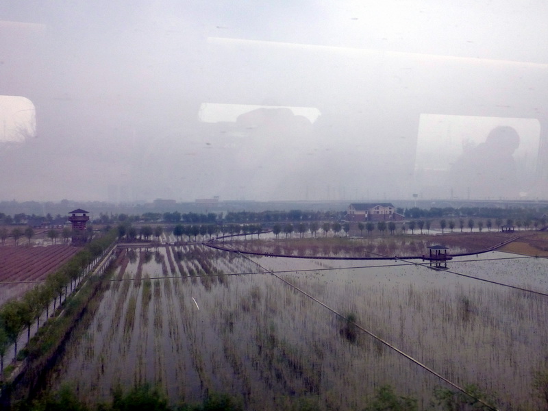 p1260018.jpg