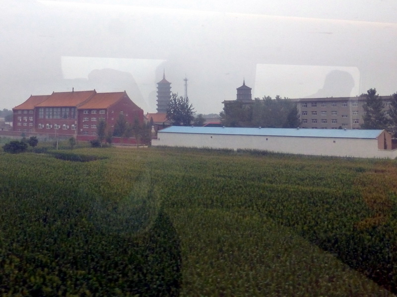 p1260019.jpg