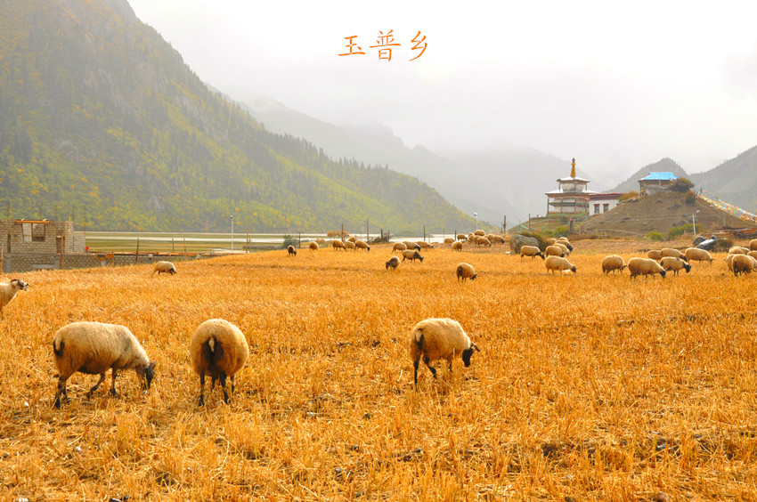 玉普乡（22日）.jpg
